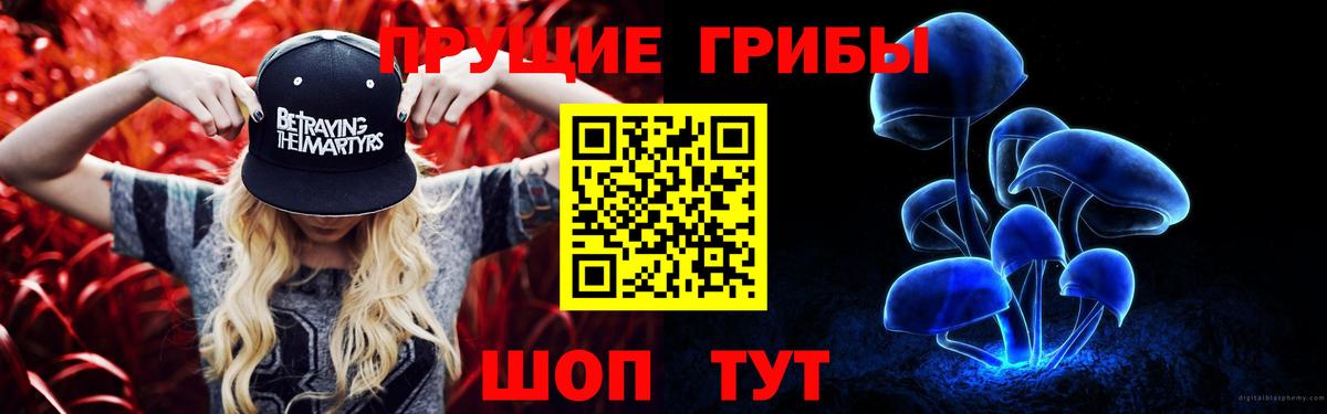 Галлюциногенные грибы мицелий  Вход с VPN  Кимовск 
